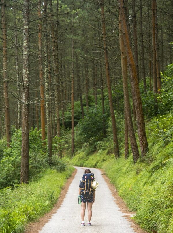 tourist, traveler, nature, woman, walking, backpack, trail, trekking, forest, woods, walk, wander, trees, tourist, tourist, walking, walking, walking, walking, walking, backpack, backpack, trail, trail, trekking, trekking, trekking, trekking, forest, forest, walk, walk