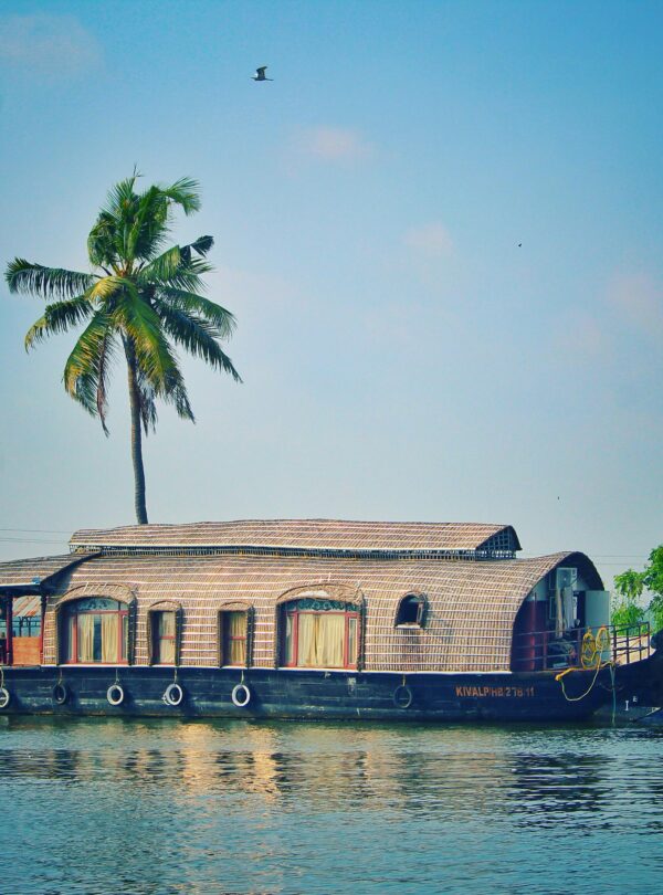 Picturesque view of river with green palms on bank and shabby wooden boathouse under blue sky in tropical countryside